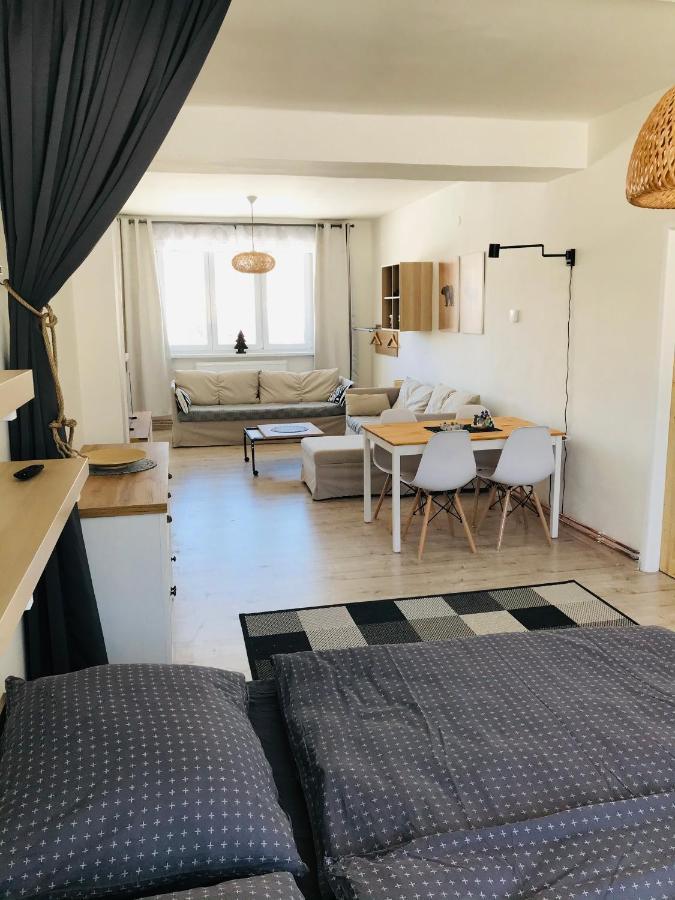 Apartman Orlicke Zahori Εξωτερικό φωτογραφία
