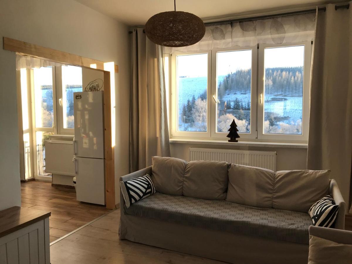 Apartman Orlicke Zahori Εξωτερικό φωτογραφία