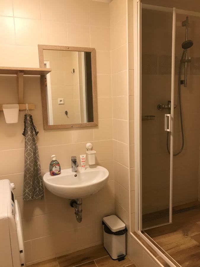 Apartman Orlicke Zahori Εξωτερικό φωτογραφία