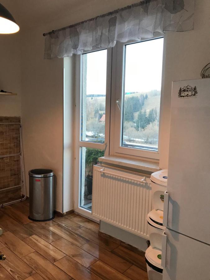 Apartman Orlicke Zahori Εξωτερικό φωτογραφία