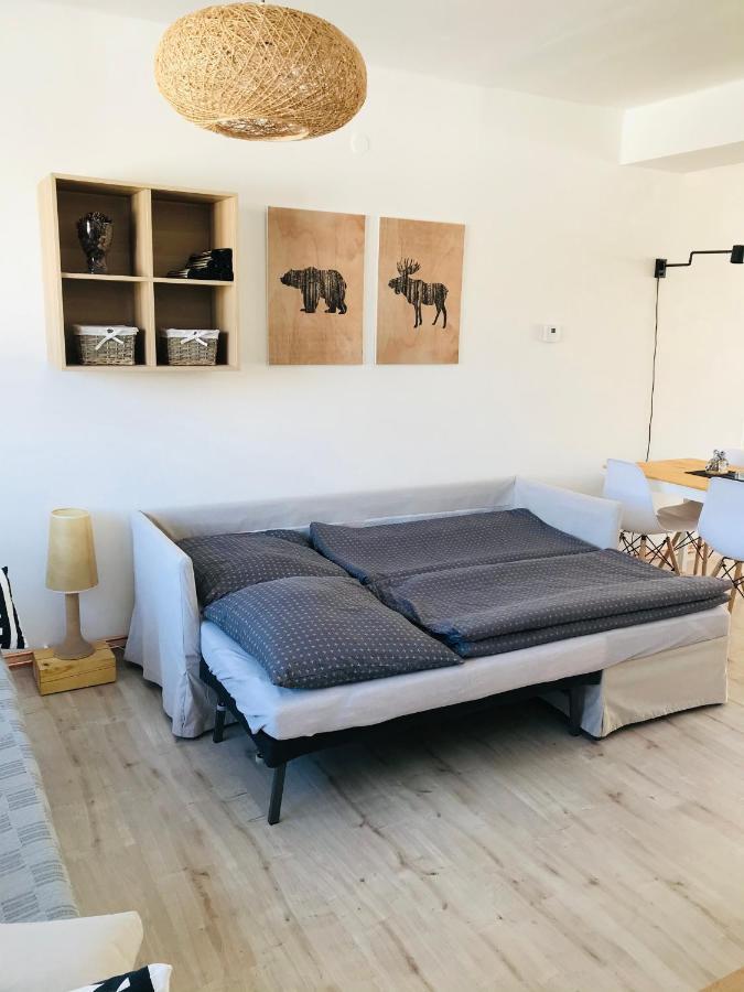 Apartman Orlicke Zahori Εξωτερικό φωτογραφία